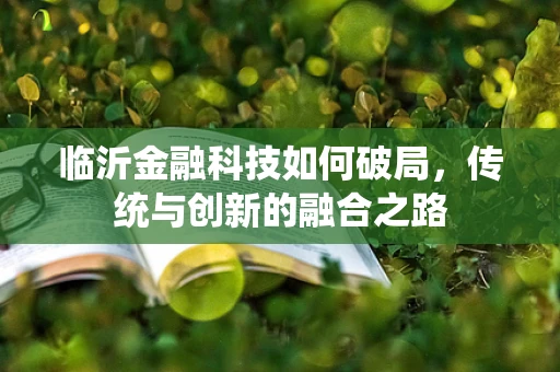 临沂金融科技如何破局，传统与创新的融合之路