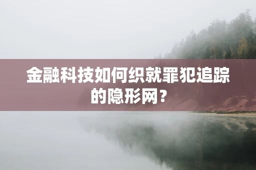 金融科技如何织就罪犯追踪的隐形网？
