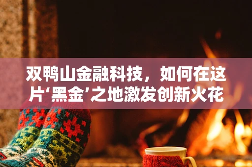 双鸭山金融科技，如何在这片‘黑金’之地激发创新火花？