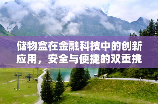 储物盒在金融科技中的创新应用，安全与便捷的双重挑战？