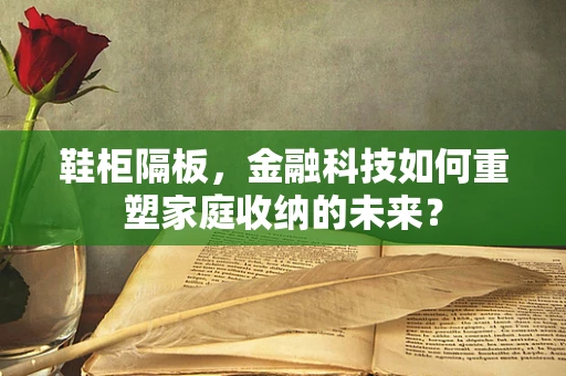 鞋柜隔板，金融科技如何重塑家庭收纳的未来？