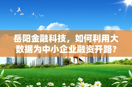 岳阳金融科技，如何利用大数据为中小企业融资开路？