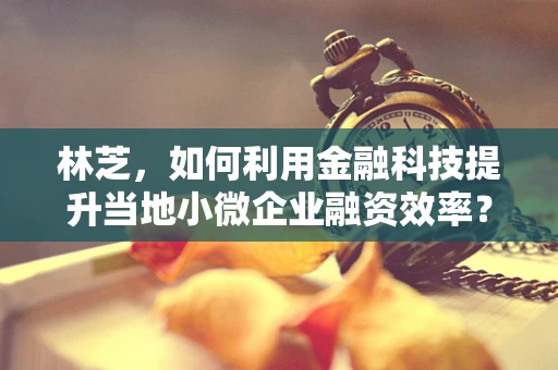 林芝，如何利用金融科技提升当地小微企业融资效率？