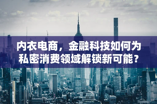 内衣电商，金融科技如何为私密消费领域解锁新可能？