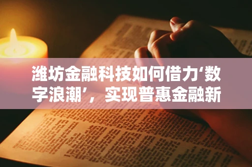潍坊金融科技如何借力‘数字浪潮’，实现普惠金融新飞跃？