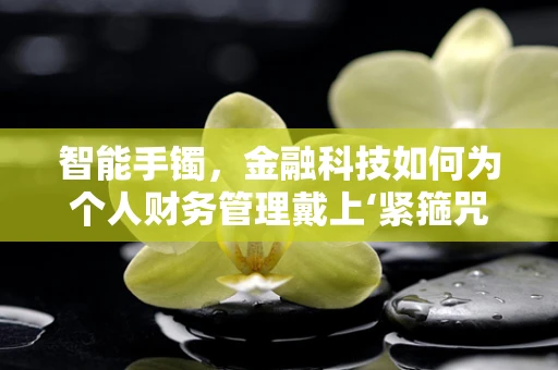 智能手镯，金融科技如何为个人财务管理戴上‘紧箍咒’？