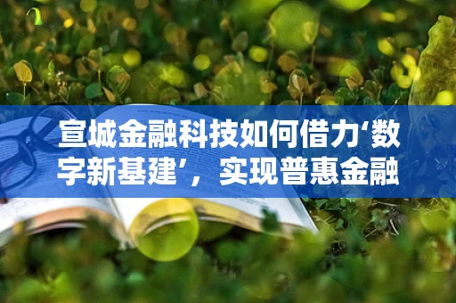 宣城金融科技如何借力‘数字新基建’，实现普惠金融新飞跃？