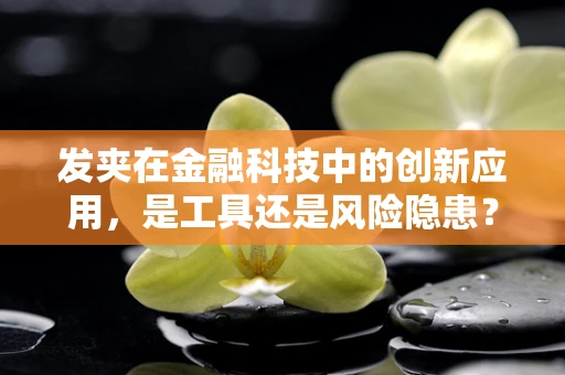 发夹在金融科技中的创新应用，是工具还是风险隐患？