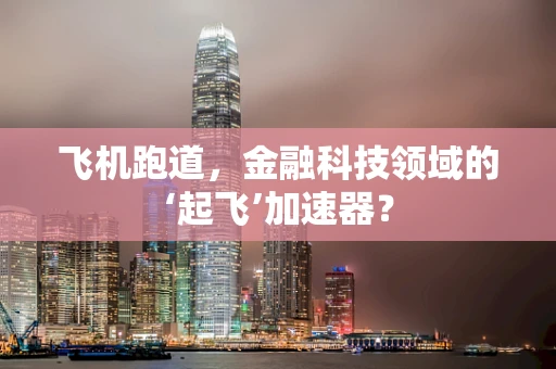 飞机跑道，金融科技领域的‘起飞’加速器？