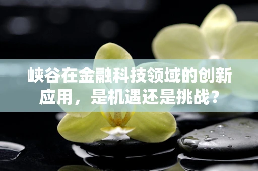 峡谷在金融科技领域的创新应用，是机遇还是挑战？