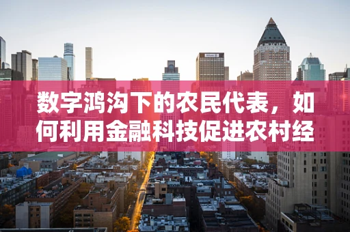数字鸿沟下的农民代表，如何利用金融科技促进农村经济发展？