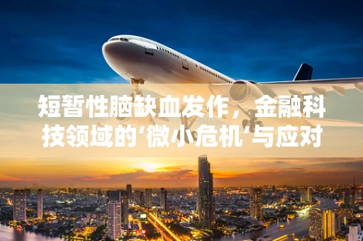 短暂性脑缺血发作，金融科技领域的‘微小危机’与应对策略