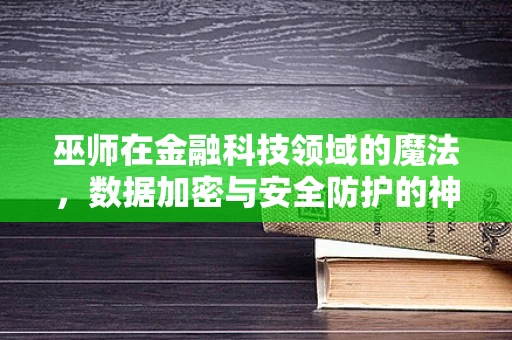巫师在金融科技领域的魔法，数据加密与安全防护的神秘面纱