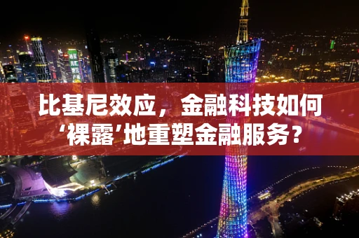 比基尼效应，金融科技如何‘裸露’地重塑金融服务？