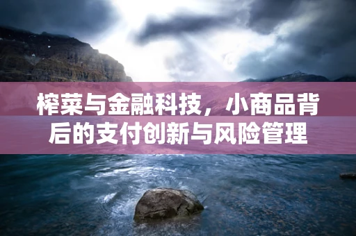 榨菜与金融科技，小商品背后的支付创新与风险管理