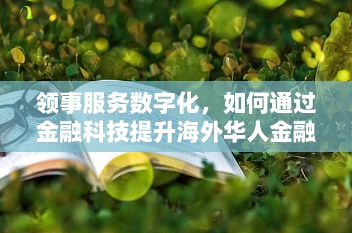 领事服务数字化，如何通过金融科技提升海外华人金融安全？