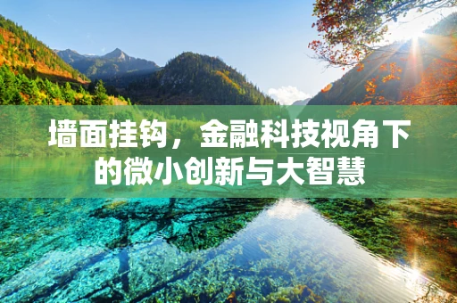 墙面挂钩，金融科技视角下的微小创新与大智慧
