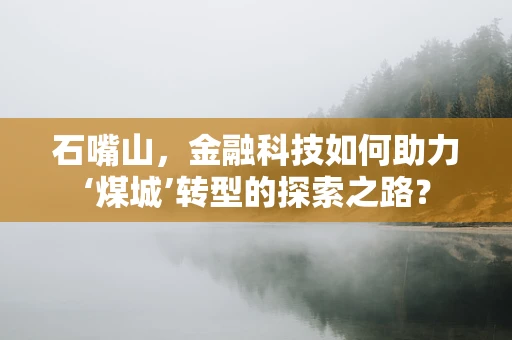 石嘴山，金融科技如何助力‘煤城’转型的探索之路？