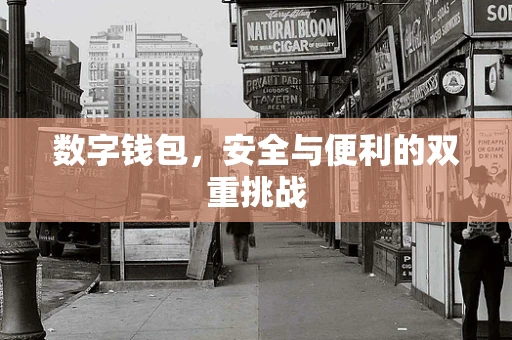 数字钱包，安全与便利的双重挑战
