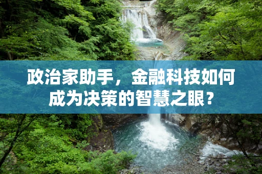 政治家助手，金融科技如何成为决策的智慧之眼？