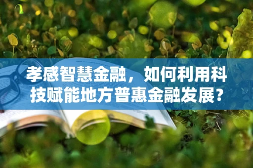 孝感智慧金融，如何利用科技赋能地方普惠金融发展？