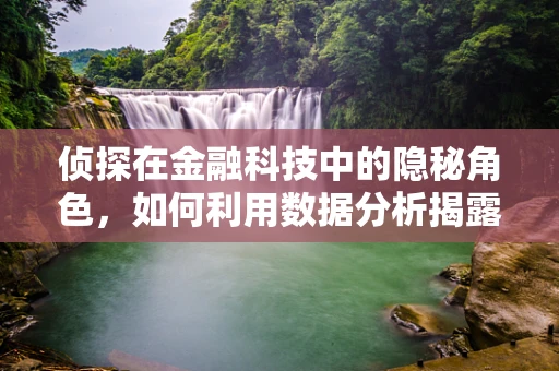 侦探在金融科技中的隐秘角色，如何利用数据分析揭露欺诈行为？