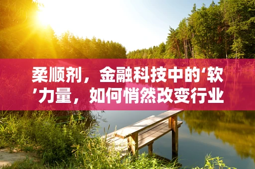 柔顺剂，金融科技中的‘软’力量，如何悄然改变行业生态？
