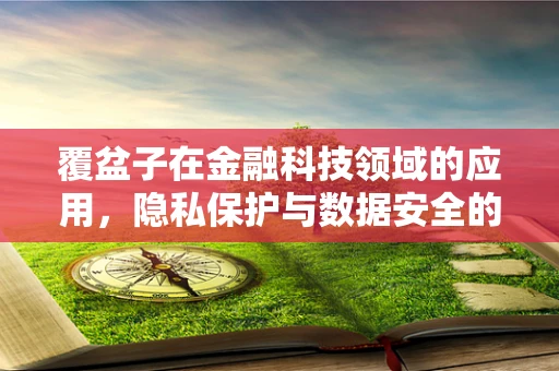 覆盆子在金融科技领域的应用，隐私保护与数据安全的创新之选？