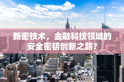 新密技术，金融科技领域的安全密钥创新之路？