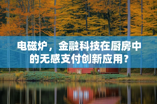 电磁炉，金融科技在厨房中的无感支付创新应用？
