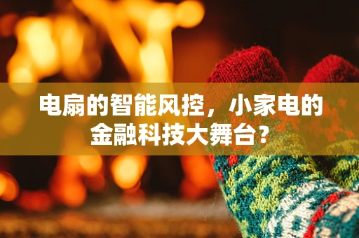 电扇的智能风控，小家电的金融科技大舞台？