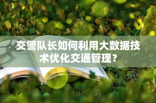 交警队长如何利用大数据技术优化交通管理？