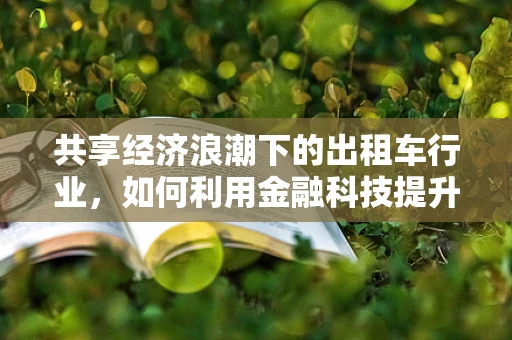 共享经济浪潮下的出租车行业，如何利用金融科技提升服务效率与乘客体验？