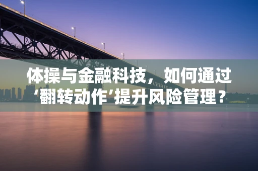 体操与金融科技，如何通过‘翻转动作’提升风险管理？