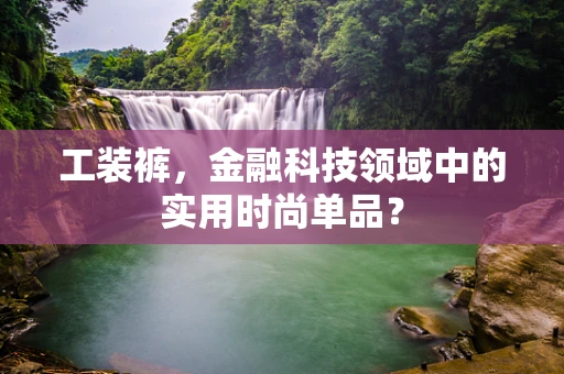 工装裤，金融科技领域中的实用时尚单品？