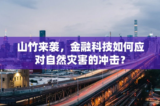 山竹来袭，金融科技如何应对自然灾害的冲击？