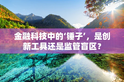金融科技中的‘锤子’，是创新工具还是监管盲区？