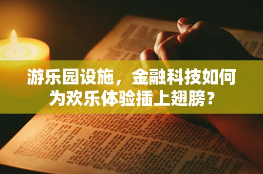 游乐园设施，金融科技如何为欢乐体验插上翅膀？