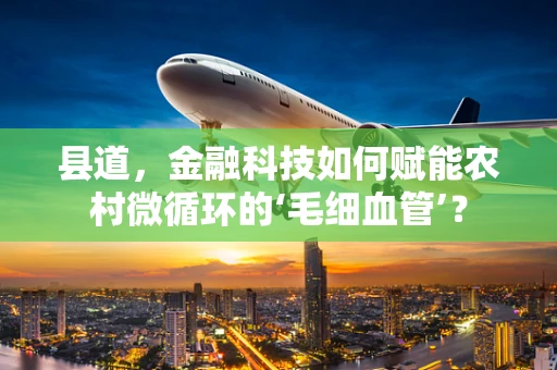 县道，金融科技如何赋能农村微循环的‘毛细血管’？