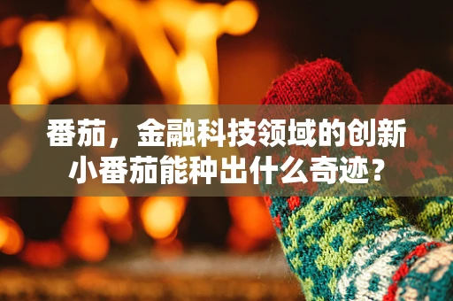 番茄，金融科技领域的创新小番茄能种出什么奇迹？