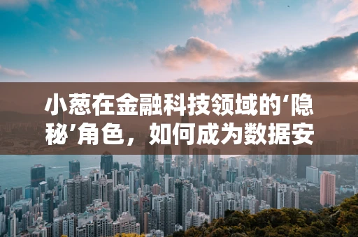 小葱在金融科技领域的‘隐秘’角色，如何成为数据安全与隐私保护的‘调味品’？