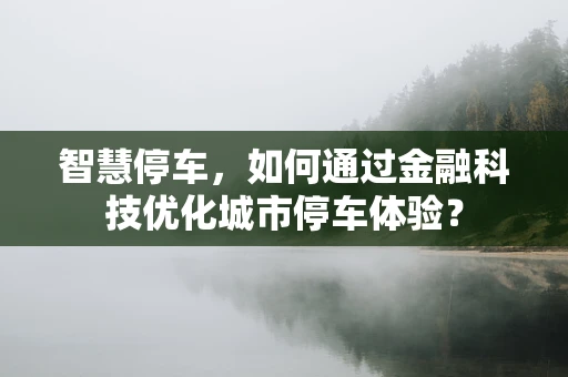 智慧停车，如何通过金融科技优化城市停车体验？