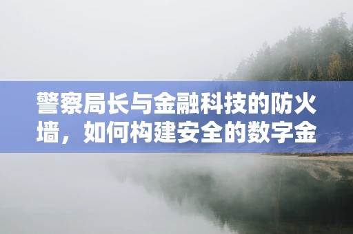 警察局长与金融科技的防火墙，如何构建安全的数字金融环境？