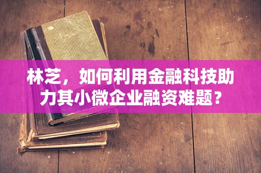 林芝，如何利用金融科技助力其小微企业融资难题？