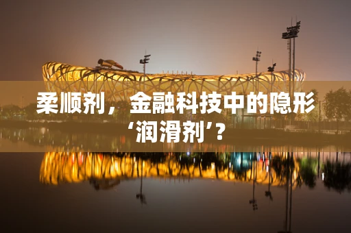 柔顺剂，金融科技中的隐形‘润滑剂’？