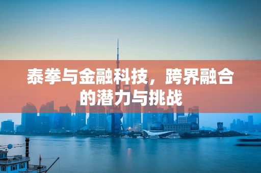 泰拳与金融科技，跨界融合的潜力与挑战