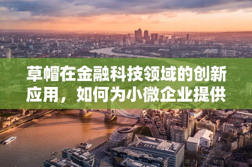 草帽在金融科技领域的创新应用，如何为小微企业提供阳光下的融资机会？