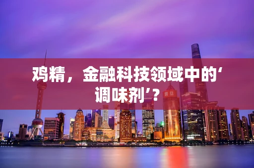鸡精，金融科技领域中的‘调味剂’？