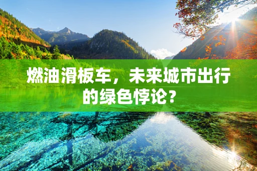 燃油滑板车，未来城市出行的绿色悖论？