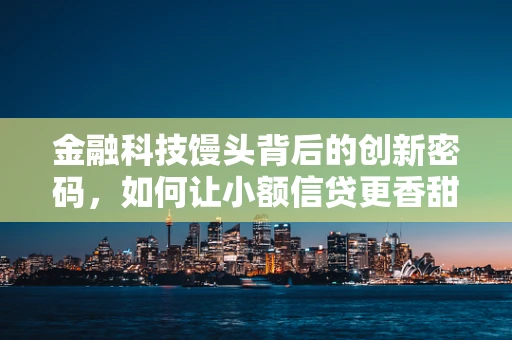 金融科技馒头背后的创新密码，如何让小额信贷更香甜？